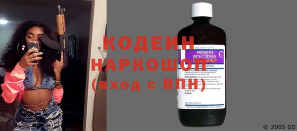 индика Белая Холуница