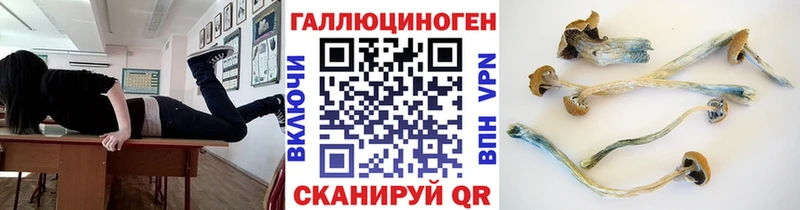 Псилоцибиновые грибы Psilocybe  Певек 